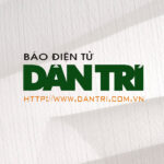 Báo Dân Trí